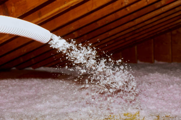 Best Commercial Insulation Contractor  in Bronte, TX