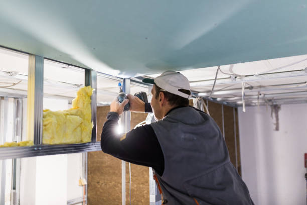 Best Local Insulation Services  in Bronte, TX