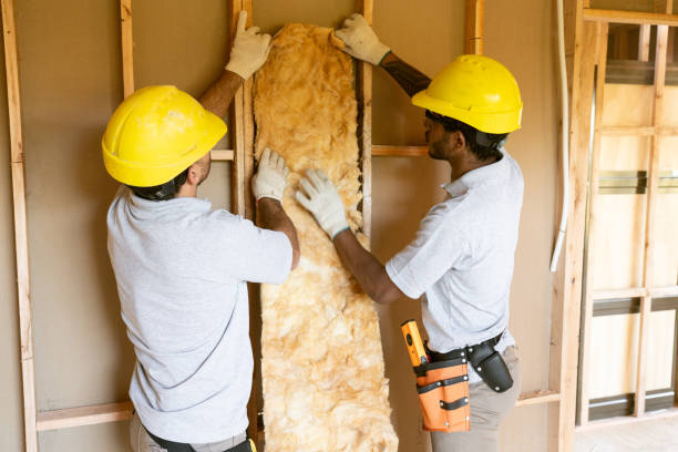 Best Blown-in Insulation  in Bronte, TX