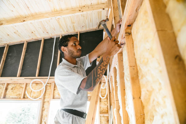 Best Blown-in Insulation  in Bronte, TX