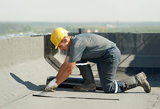 Best Spray Foam Insulation  in Bronte, TX