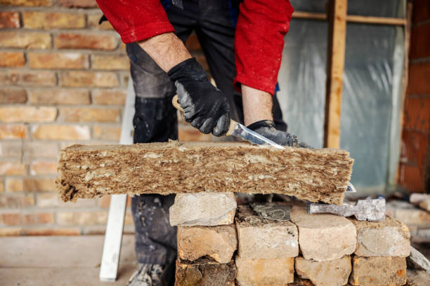 Best Wall Insulation Contractor  in Bronte, TX