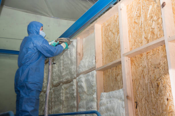 Best Insulation Inspection Services  in Bronte, TX