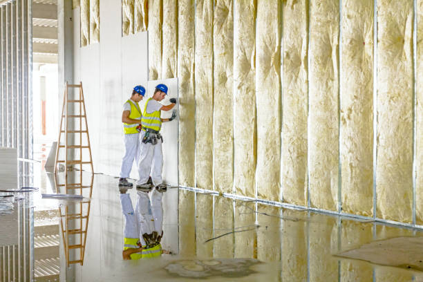 Best Insulation Installation Cost  in Bronte, TX